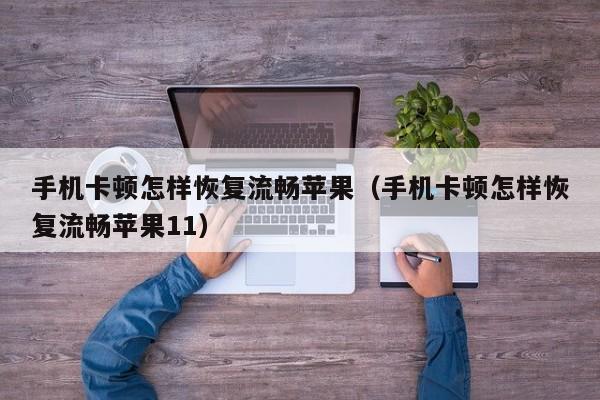 手机卡顿怎样恢复流畅苹果（手机卡顿怎样恢复流畅苹果11）
