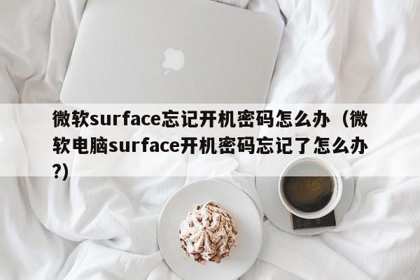 微软surface忘记开机密码怎么办（微软电脑surface开机密码忘记了怎么办?）
