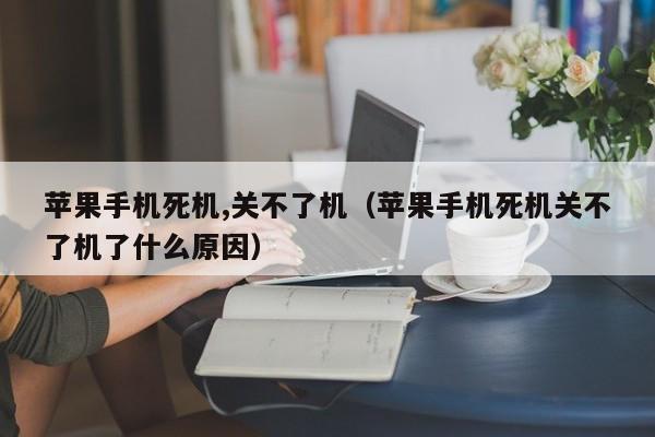 苹果手机死机,关不了机（苹果手机死机关不了机了什么原因）