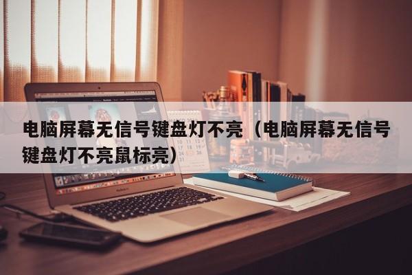 电脑屏幕无信号键盘灯不亮（电脑屏幕无信号键盘灯不亮鼠标亮）