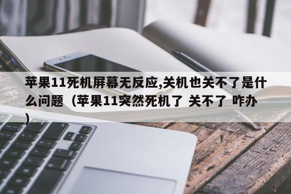 苹果11死机屏幕无反应,关机也关不了是什么问题（苹果11突然死机了 关不了 咋办）
