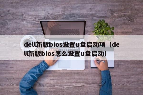dell新版bios设置u盘启动项（dell新版bios怎么设置u盘启动）