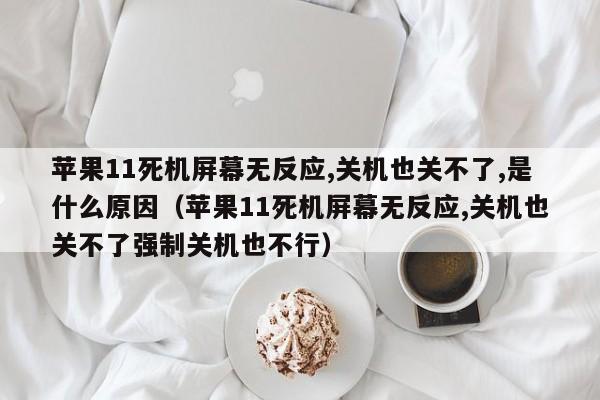 苹果11死机屏幕无反应,关机也关不了,是什么原因（苹果11死机屏幕无反应,关机也关不了强制关机也不行）