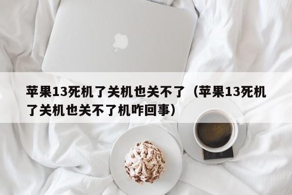 苹果13死机了关机也关不了（苹果13死机了关机也关不了机咋回事）