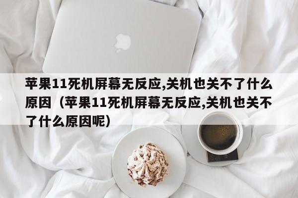 苹果11死机屏幕无反应,关机也关不了什么原因（苹果11死机屏幕无反应,关机也关不了什么原因呢）