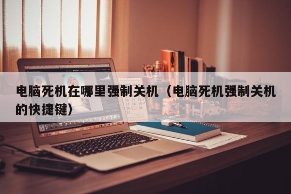 电脑死机在哪里强制关机（电脑死机强制关机的快捷键）