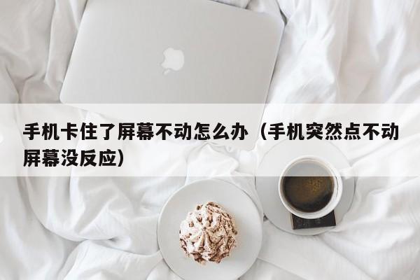 手机卡住了屏幕不动怎么办（手机突然点不动屏幕没反应）