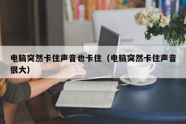 电脑突然卡住声音也卡住（电脑突然卡住声音很大）