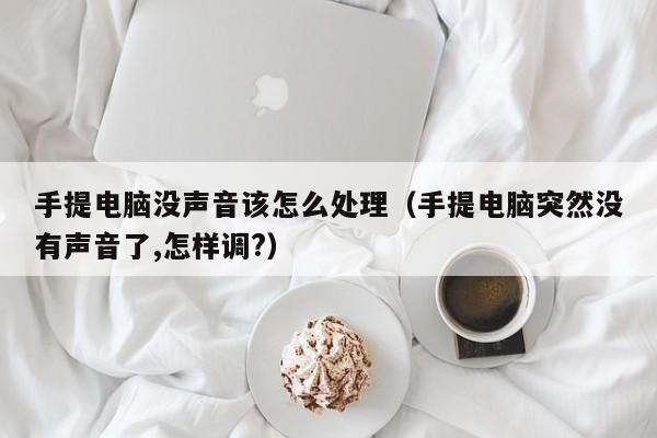 手提电脑没声音该怎么处理（手提电脑突然没有声音了,怎样调?）