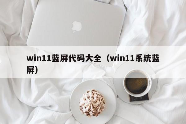 win11蓝屏代码大全（win11系统蓝屏）