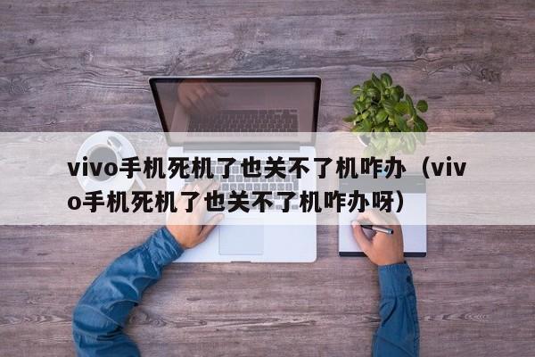 vivo手机死机了也关不了机咋办（vivo手机死机了也关不了机咋办呀）